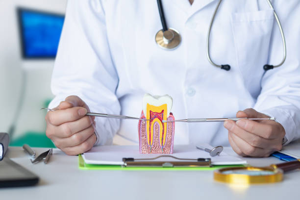 Best Emergency Root Canal Treatment in Herscher, IL